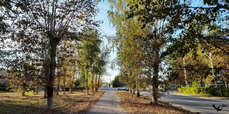 Вильфанд: бархатный сезон на юге России продлится до середины октября