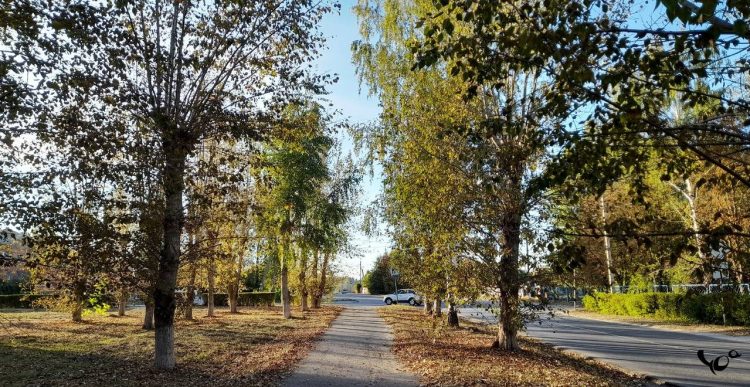 Вильфанд: бархатный сезон на юге России продлится до середины октября