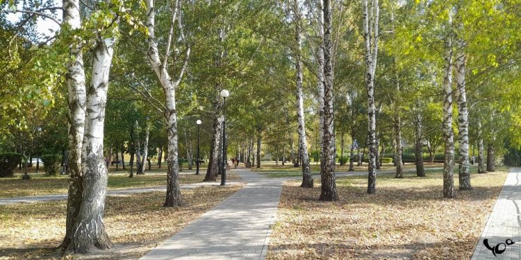 В среду в Рязанской области ожидаются дожди и до +10 градусов