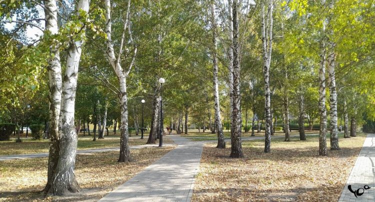 В среду в Рязанской области ожидаются дожди и до +10 градусов