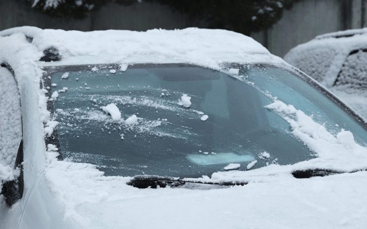 Водителей рязанских маршруток обязали объявлять остановки