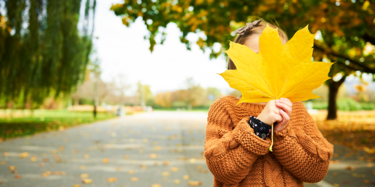 В пятницу в Рязанской области ожидается до +15 градусов