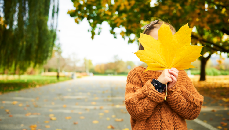 В пятницу в Рязанской области ожидается до +15 градусов