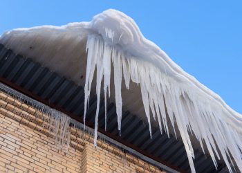 Артем Солодов остается дома