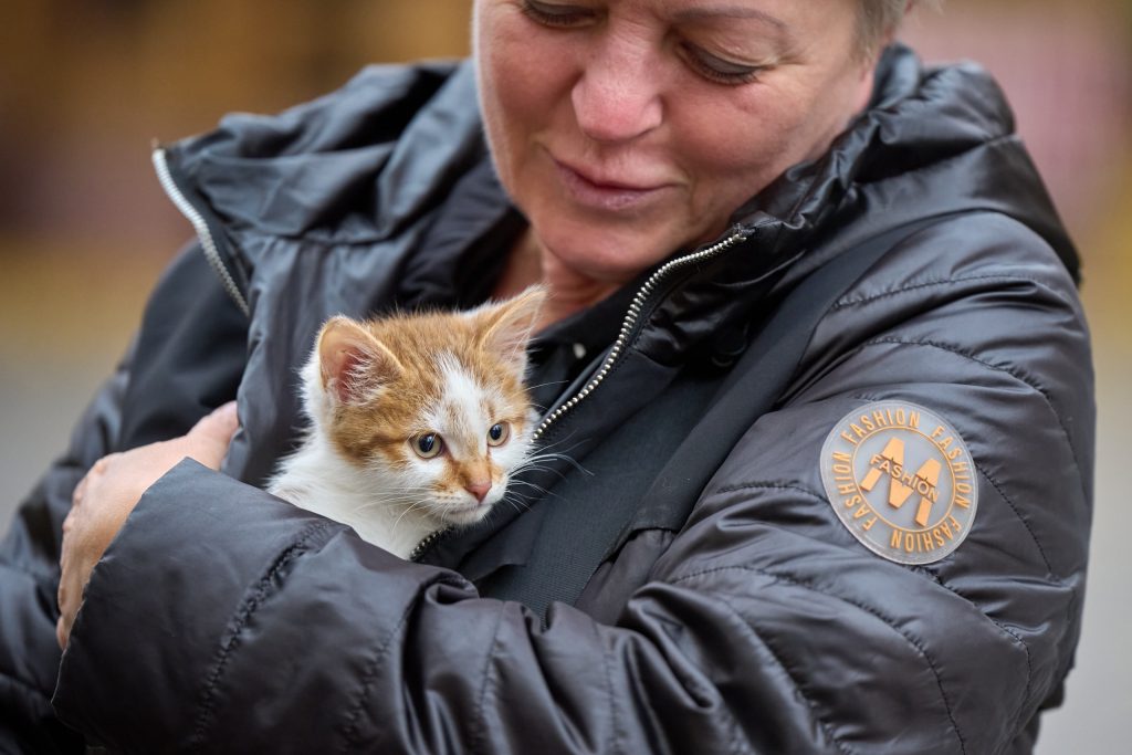 В Рязани на выставке безнадзорных животных дом обрели 7 собак и 4 кошки
