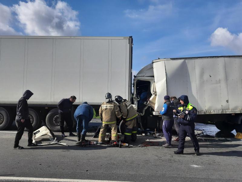 В ДТП в Михайловском районе погиб 35-летний водитель грузовика