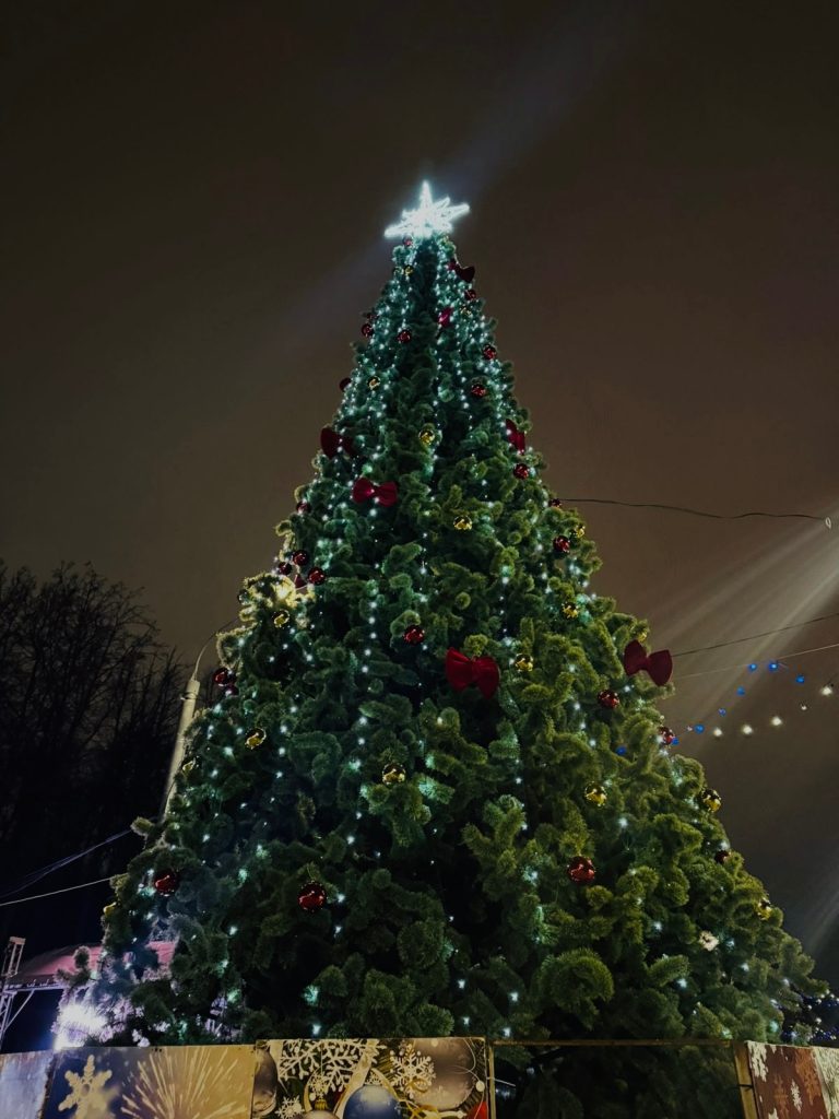 Рязанский Лесопарк украсили к Новому году