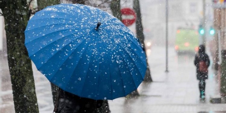 Во вторник в Рязанской области ожидается мокрый снег и до +15 градусов