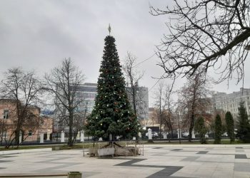 В рязанском Верхнем горпарке продолжают украшать собранную к Новому году ель