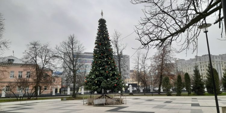 В рязанском Верхнем горпарке продолжают украшать собранную к Новому году ель