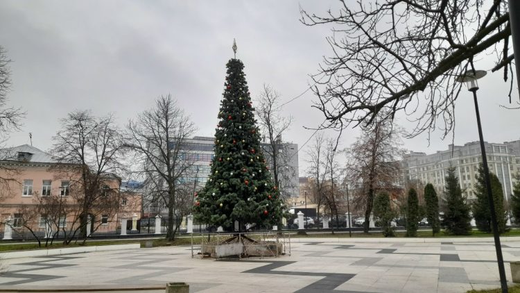 В рязанском Верхнем горпарке продолжают украшать собранную к Новому году ель