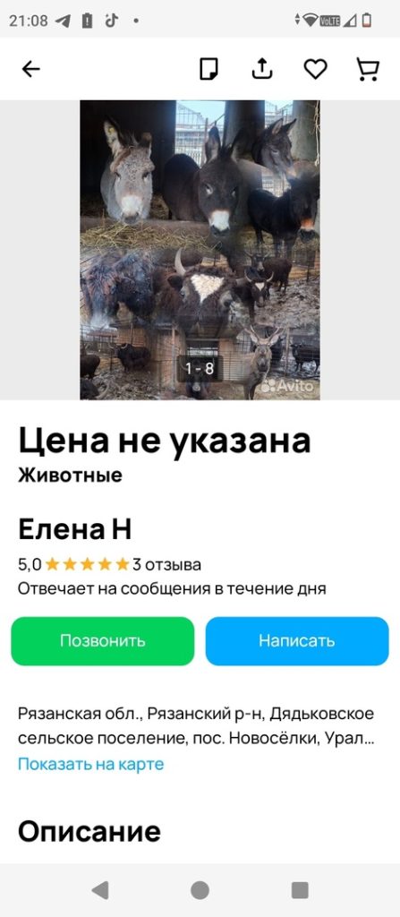 Рязанцы обнаружили в Сети объявления о продаже оленей и яков