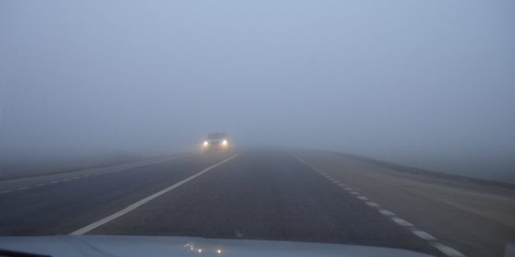 Рязанцев предупредили об утреннем тумане 3 августа