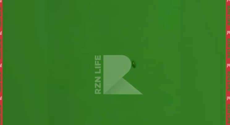 В рязанском магазине "Зодиак" засняли кишащий тараканами мясной отдел