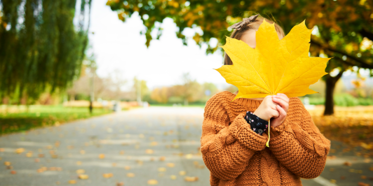 В субботу в Рязанской области ожидается небольшой дождь и до +19 градусов