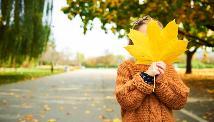 В субботу в Рязанской области ожидается небольшой дождь и до +19 градусов
