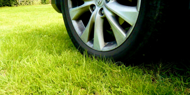 С начала 2025 года в Рязани оштрафовали 1548 водителей, парковавшихся на газонах