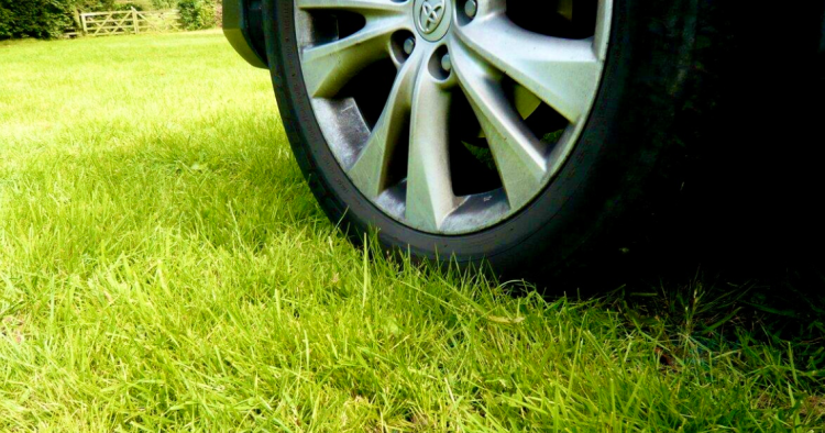 С начала 2025 года в Рязани оштрафовали 1548 водителей, парковавшихся на газонах