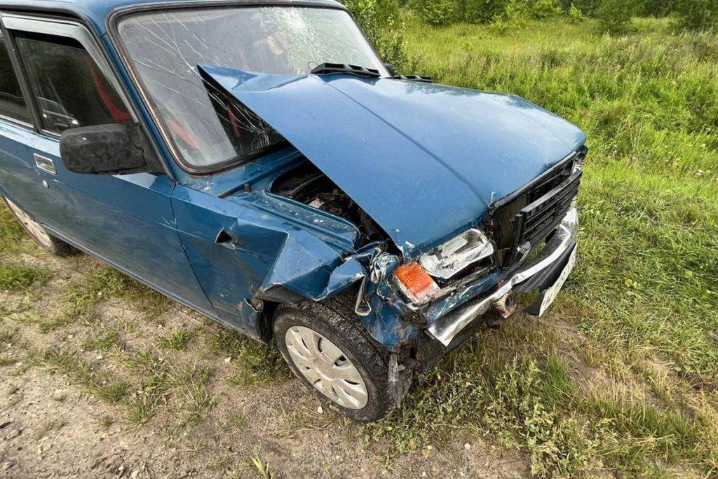 В ДТП под Рязанью пострадали два человека, в том числе 9-летняя девочка