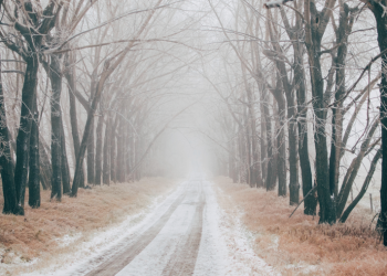 Рязанское МЧС продлило метеопредупреждение из-за мокрого снега и гололедицы