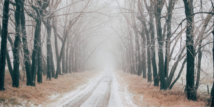 Рязанское МЧС продлило метеопредупреждение из-за мокрого снега и гололедицы