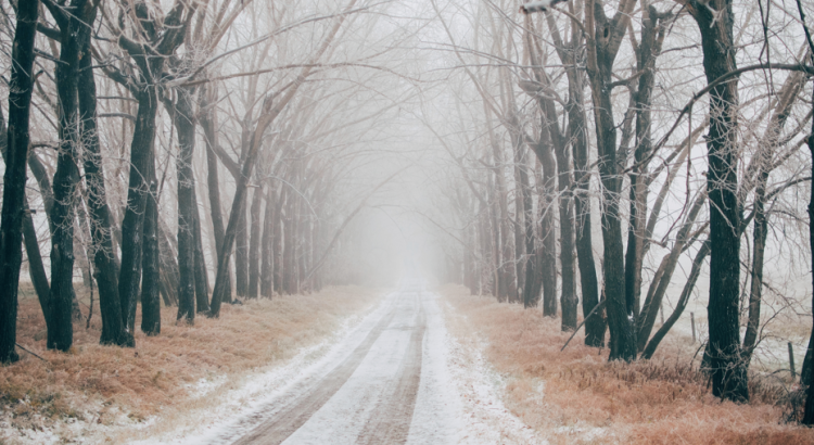 Рязанское МЧС продлило метеопредупреждение из-за мокрого снега и гололедицы