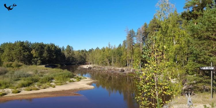 В ночь на 23 сентября в Рязанской области ожидается до -4 градусов