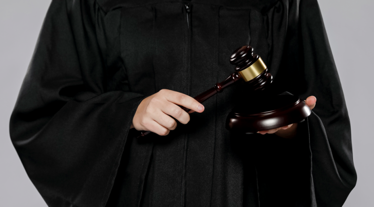 В рязанском суде прошло предварительное слушание по делу экс-сенатора от Рязанской области Петиной