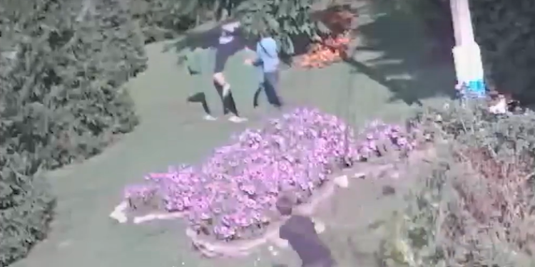 В рязанском Скопине подростки испортили декоративного медведя рядом со зданием местной администрации