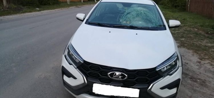 В рязанских Спас-Клепиках сбили 13-летнюю девочку-пешехода