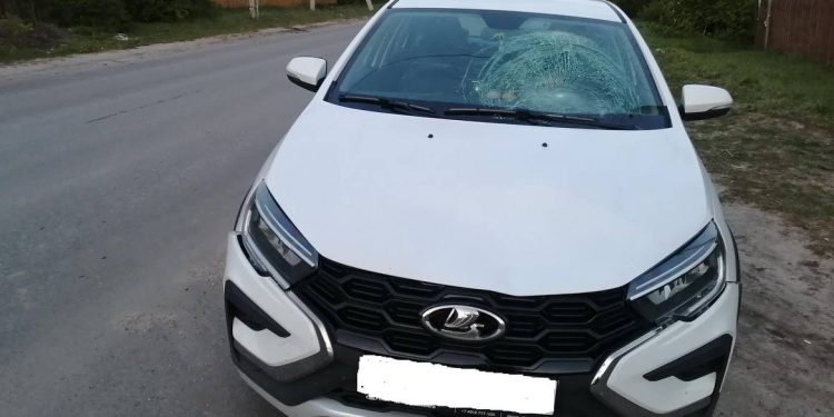 В рязанских Спас-Клепиках сбили 13-летнюю девочку-пешехода В рязанских Спас-Клепиках сбили 13-летнюю девочку-пешехода