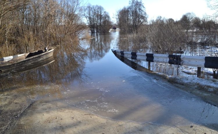 Ока достигла четырех метров. Паводок заливает мосты