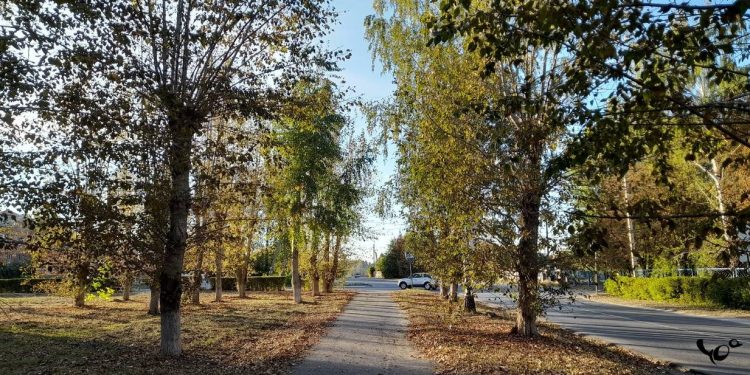 В четверг в Рязанской области ожидается небольшой дождь и до +12 градусов