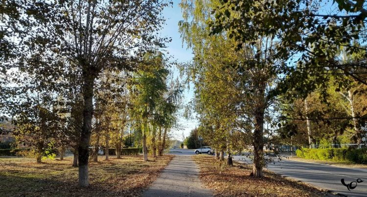 В четверг в Рязанской области ожидается небольшой дождь и до +12 градусов