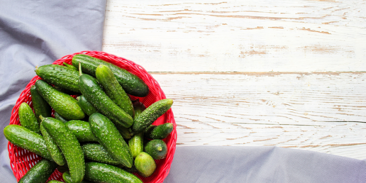 Врач Шафикова: в день рекомендовано употреблять максимум до 400 граммов огурцов
