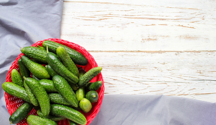 Врач Шафикова: в день рекомендовано употреблять максимум до 400 граммов огурцов