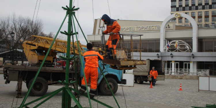 В рязанском сквере 60-летия Победы появится 12-метровая новогодняя ель