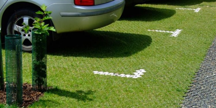 1438 рязанских водителей, парковавшихся на газонах, оштрафовали с начала года