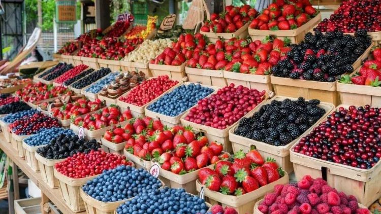 С начала 2025 года в Рязани за незаконную торговлю оштрафовали 1499 человек