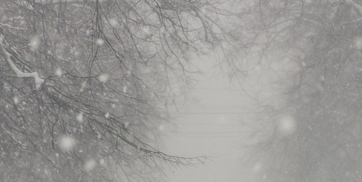 «Фрэнсис» обрушился на Рязанскую область