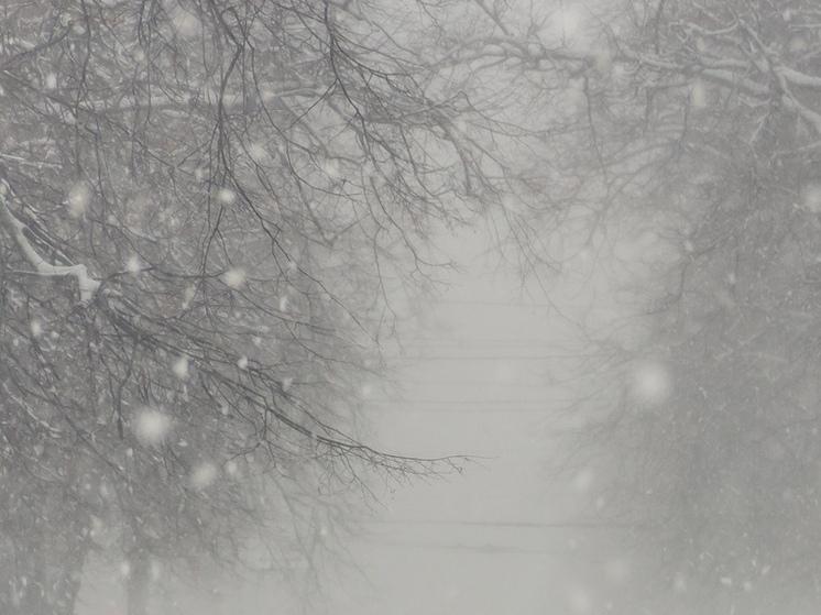 "Фрэнсис" обрушился на Рязанскую область