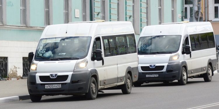 За год в Рязани на 5 % замедлились темпы сокращения количества коммерческих автобусов