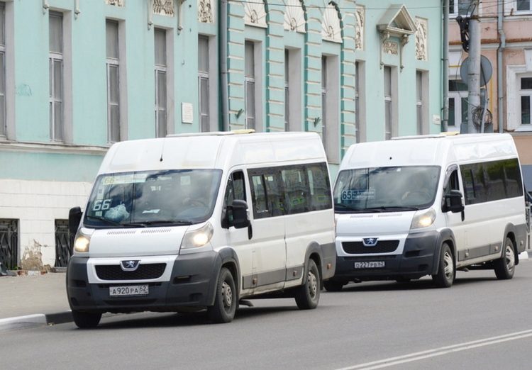 За год в Рязани на 5 % замедлились темпы сокращения количества коммерческих автобусов
