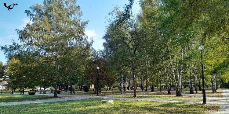 В субботу в Рязанской области ожидается дождь и до +17 градусов