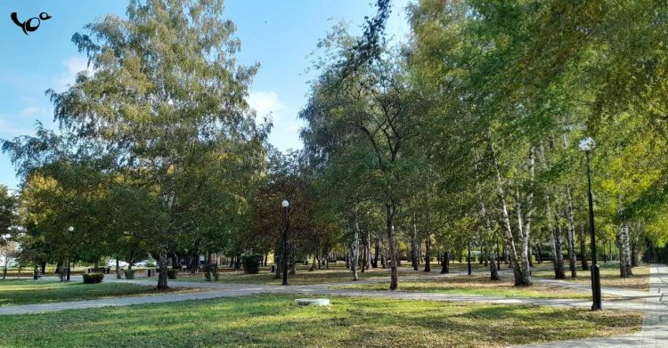 В субботу в Рязанской области ожидается дождь и до +17 градусов