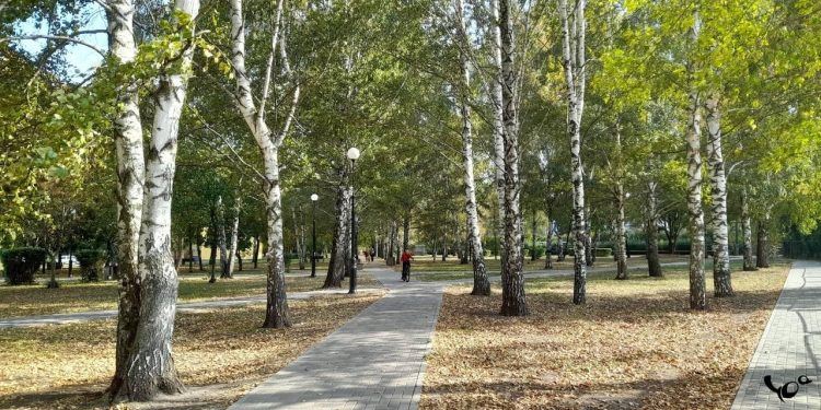 Вильфанд: в последнюю неделю сентября в центральной России ожидается до +24 градусов