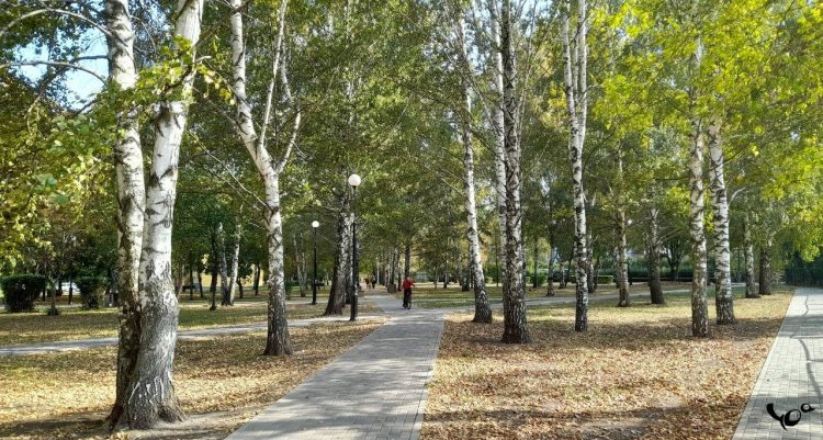 Вильфанд: в последнюю неделю сентября в центральной России ожидается до +24 градусов