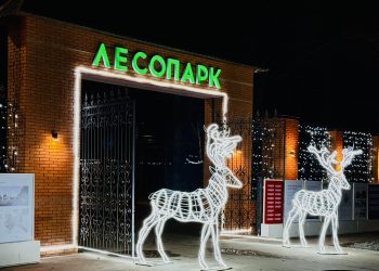 Рязанский Лесопарк украсили к Новому году Рязанский Лесопарк украсили к Новому году