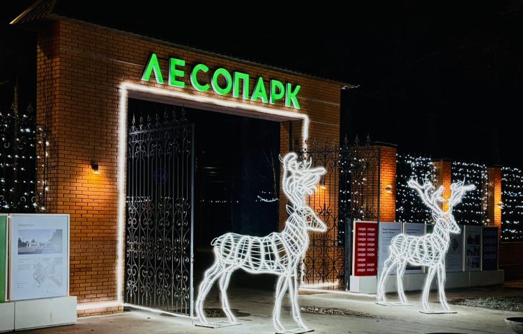 Рязанский Лесопарк украсили к Новому году