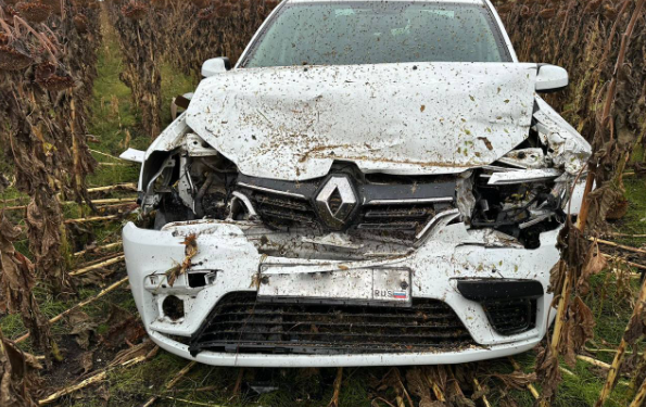 В ДТП в Михайловском районе пострадала 43-летняя женщина В ДТП в Михайловском районе пострадала 43-летняя женщина